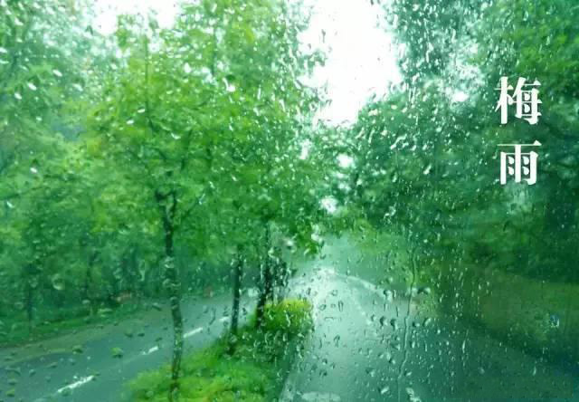 梅雨季節(jié)，如何解決配電箱回潮？給你支招